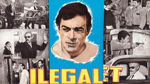 Ilegalët Bild 2
