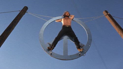 Die auf heißen Öfen verrecken Bild 6