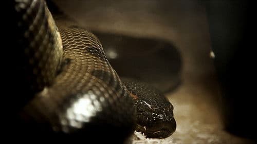 Lektion der Unvernunft Bild 1