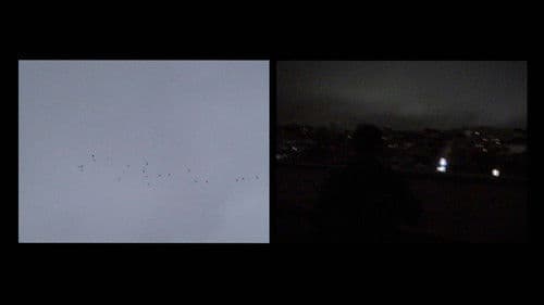 Sé de un lugar Bild 4