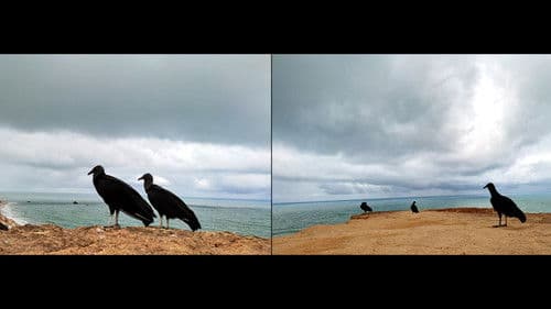 Cartas de Arapuca Bild 1