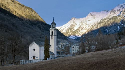 Die Giacomettis Bild 7