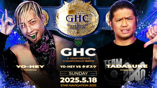 NOAH Star Navigation 2025 #2 Bild 2