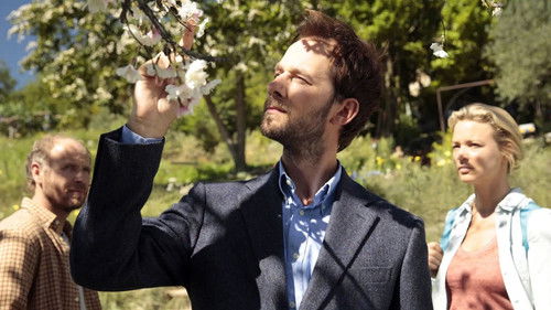 Birnenkuchen mit Lavendel Bild 5