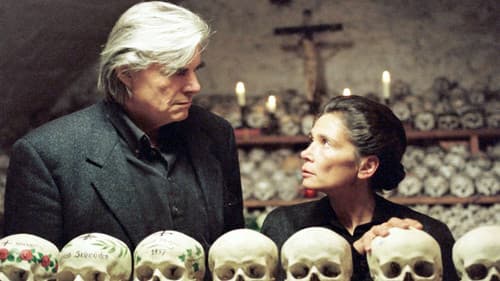 Daniel Käfer - Die Schattenuhr Bild 1