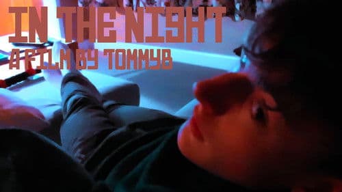 In The Night Bild 2