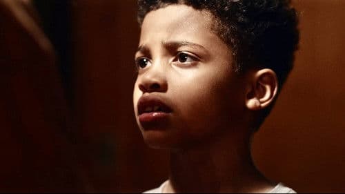 They Wait in the Dark Bild 3