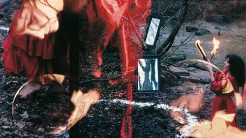 Selva. Un portrait de Parvaneh Navaï Bild 1