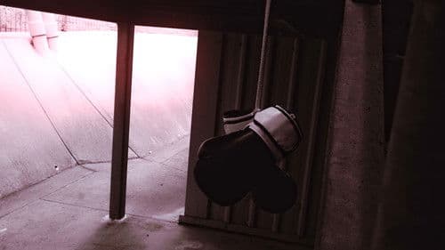 Trapped In Sight Bild 3