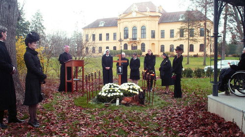 Der letzte Sommer der Reichen Bild 2