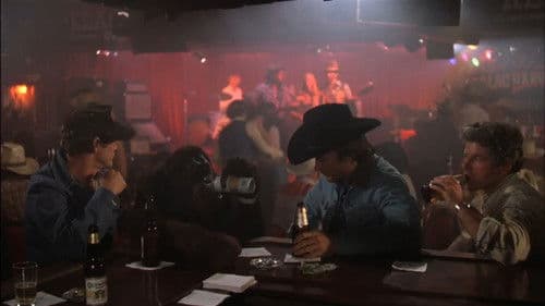 Mit Vollgas nach San Fernando Bild 8