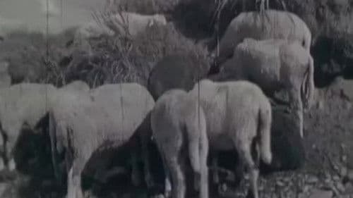 Путешествие Bild 2