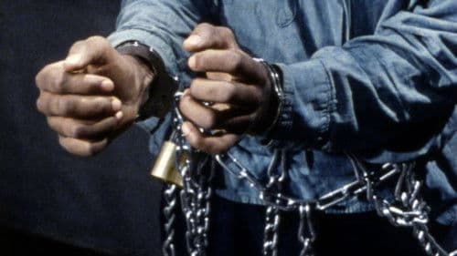 Child of Resistance Bild 1