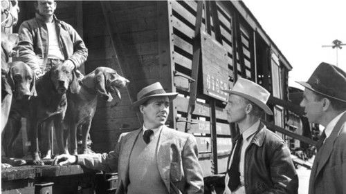 Special Agent Bild 5