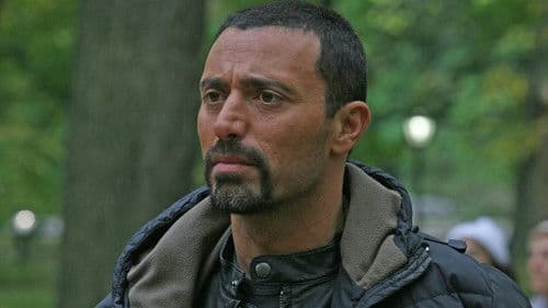 Fünf Minarette in New York Bild 5