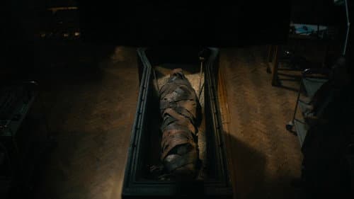 Lee Cronin's The Mummy Bild 3