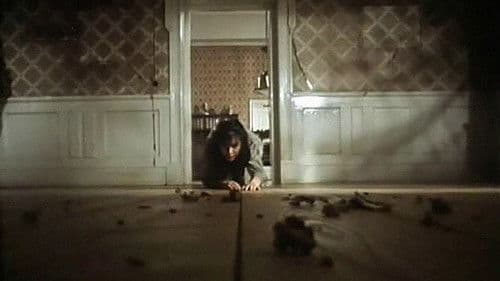 Die Verwandlung Bild 1