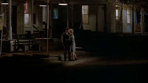 Zauber eines Sommers Bild 8