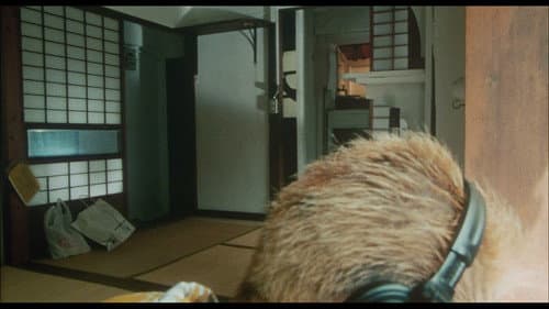 Dead or Alive 2 Bild 8