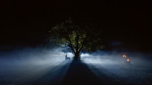 Bukuria e Gomarit Bild 2