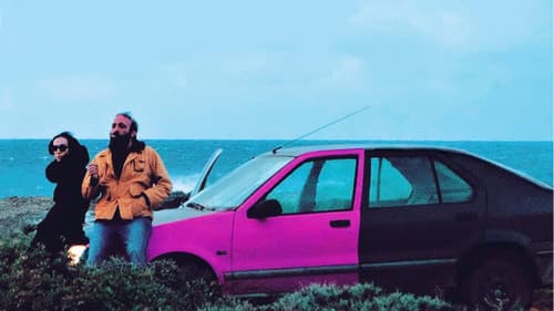 Μαγνητικά Πεδία Bild 1