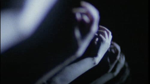 ＸＸ　美しき獲物 Bild 5