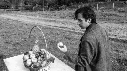 Xadrez Espelhado Bild 1