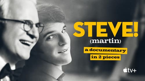 STEVE! (martin): Ein Porträt in zwei Teilen Bild 6