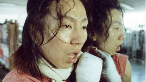 나는 왜 권투심판이 되려하는가 Bild 2