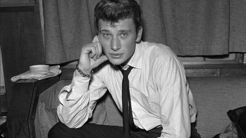 Johnny made in France Bild 2