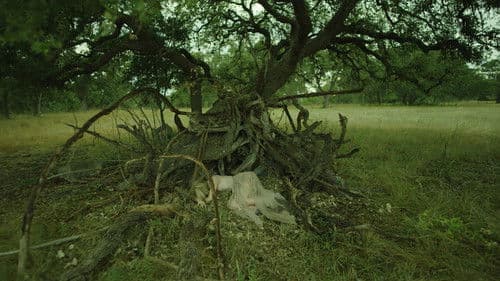 The Blazing World Bild 8