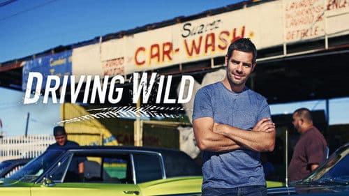 Driving Wild Bild 2
