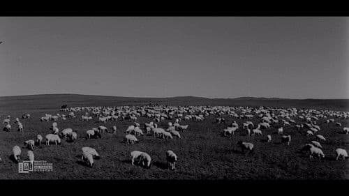 Хонины найр Bild 3