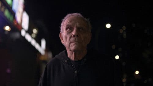 The Light Side Bild 3