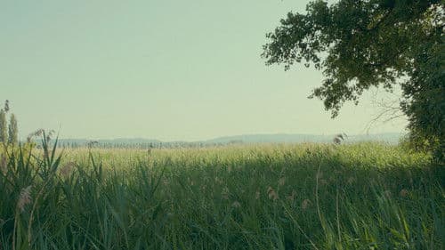 Die Wichtigkeit der Freundschaft Bild 5