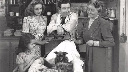 Little Miss Big Bild 1