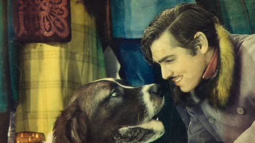 Goldfieber in Alaska Bild 7