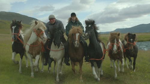 Von Menschen und Pferden Bild 2