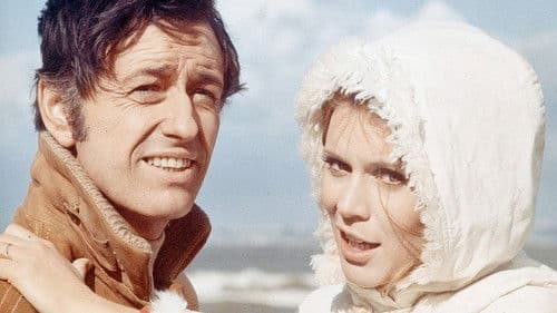 Das Mädchen von Avignon Bild 1