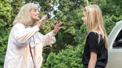 The Looking Glass Bild 4