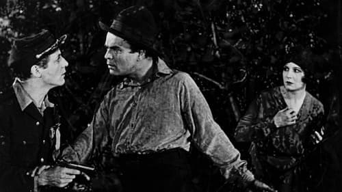 Mister Antonio Bild 1