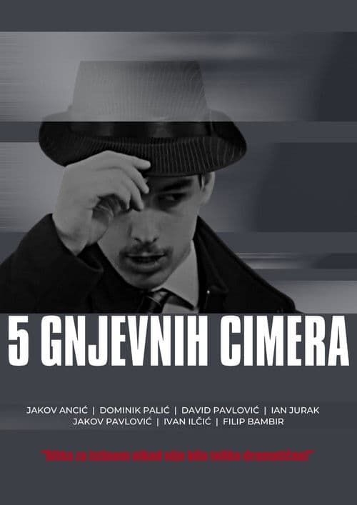 5 gnjevnih cimera