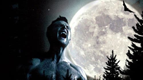 McFly: Nowhere Left to Run Bild 1