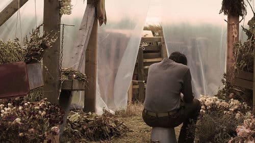 Levél Istenhez Bild 5