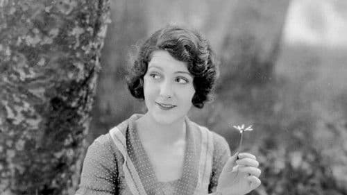 Rose of the World Bild 1