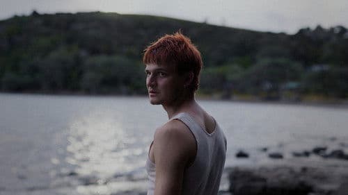 The Brightness Bild 1