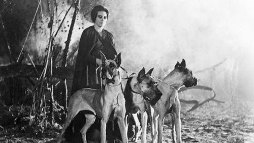 La maldición de la Llorona Bild 6