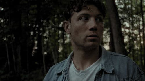 DARIO - How To Not Change The World Bild 1