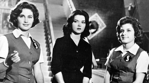 Muchachas que trabajan Bild 1