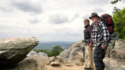 Picknick mit Bären Bild 8